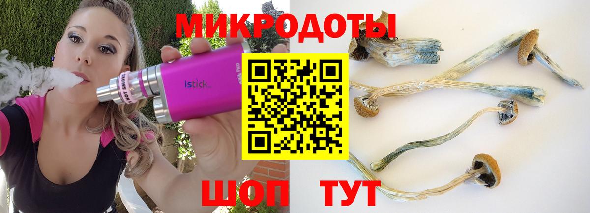 Галлюциногенные грибы Cubensis Вольск