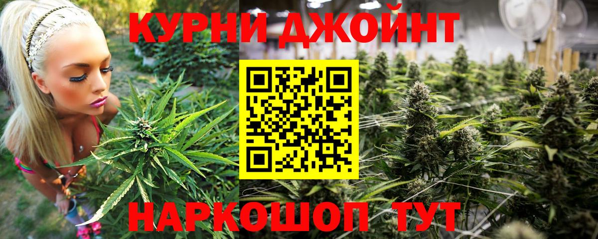 Вольск  Бошки Шишки сатива  Бошки Шишки Amnesia  Вход с VPN 